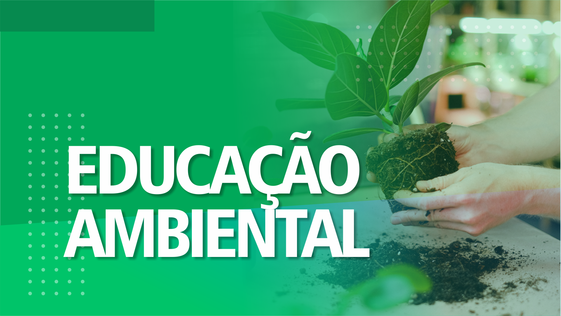 EDUCAÇÃO AMBIENTAL.png
