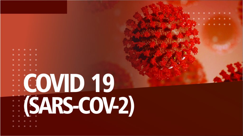 COVID 19 (SARS-COV-2) 100h